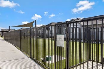 Dog park